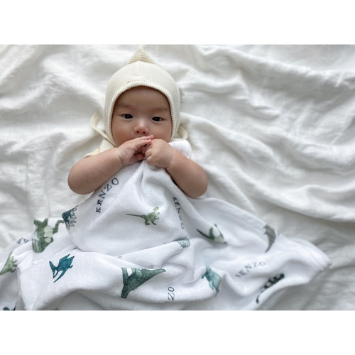 タズちゃん モチーフブランケット タズちゃん モチーフブランケット タズちゃん モチーフ