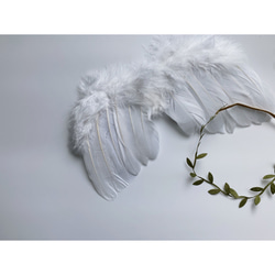 ［ angel 's wing ］天使の羽＆ヘアバンドset | ニューボーンフォト | ハーフバースデー | 新生児 9枚目の画像