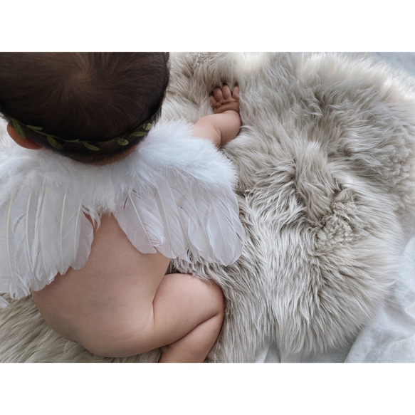 ［ angel 's wing ］天使の羽＆ヘアバンドset | ニューボーンフォト | ハーフバースデー | 新生児 10枚目の画像