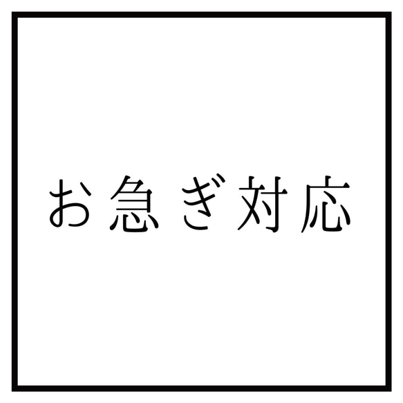 お急ぎ便 1枚目の画像