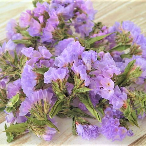 スターチスのドライフラワー2g＜薄紫＞ その他素材 koto 通販 7836337