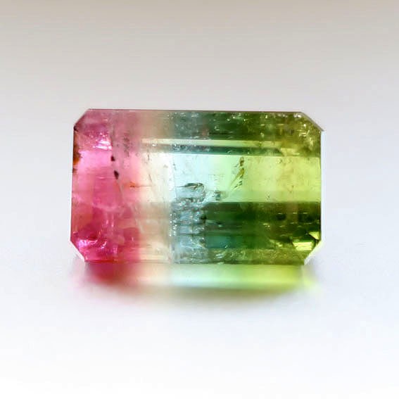 ❤トリマリン♡さま❤MoneyTree❤ ❤トリマリン♡さま❤MoneyTree❤