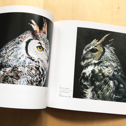 【画集】The Art of Haruki Koizumi/野生動物、鳥 7枚目の画像