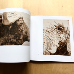 【画集】The Art of Haruki Koizumi/野生動物、鳥 8枚目の画像