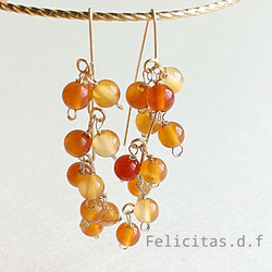 14kgf： 木の実のピアス ：carnelian 2枚目の画像