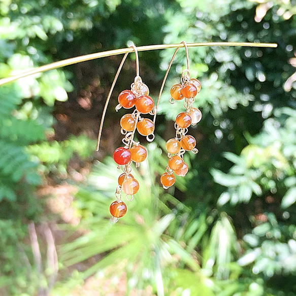 14kgf： 木の実のピアス ：carnelian 5枚目の画像