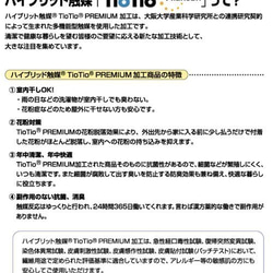 送料無料！　Sサイズ　リバティ ベッツィ　メドウスイート　プリーツマスク　キッズ 5枚目の画像