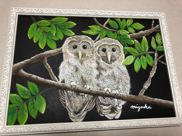 アート　フクロウ a9f62b9b88994c0e06f785a09c859f