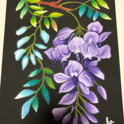 チョークアート◇藤の花◇受注販売 絵画 mizuka 通販 15796671