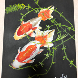 0_d9970b68f78d77e13d9e21d29708