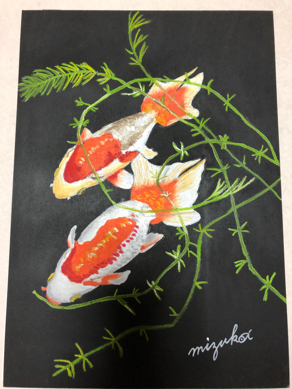 チョークアート☆金魚 送料無料 絵画 mizuka 通販 12786016