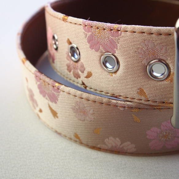 日本圖案西陣織腰帶 奢華金蘭花 手工製作，可搭配您的衣服 淺粉色櫻花 第2張的照片