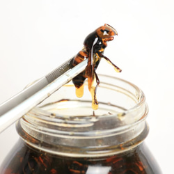 【大人気商品】すずめ蜂蜂蜜漬け　150g 2枚目の画像