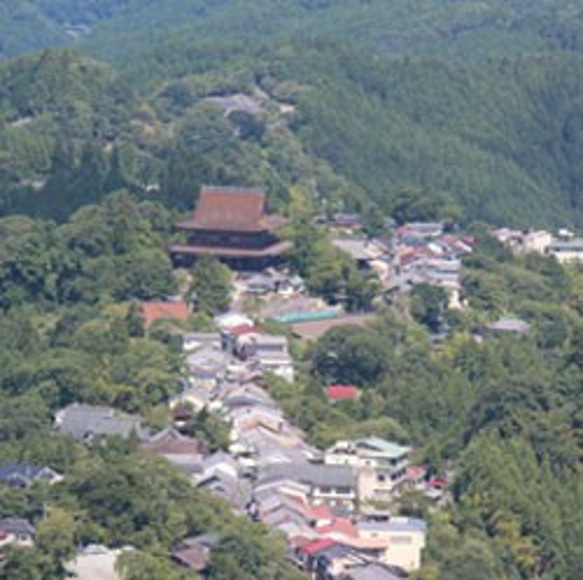 柚子くず餅 4枚目の画像