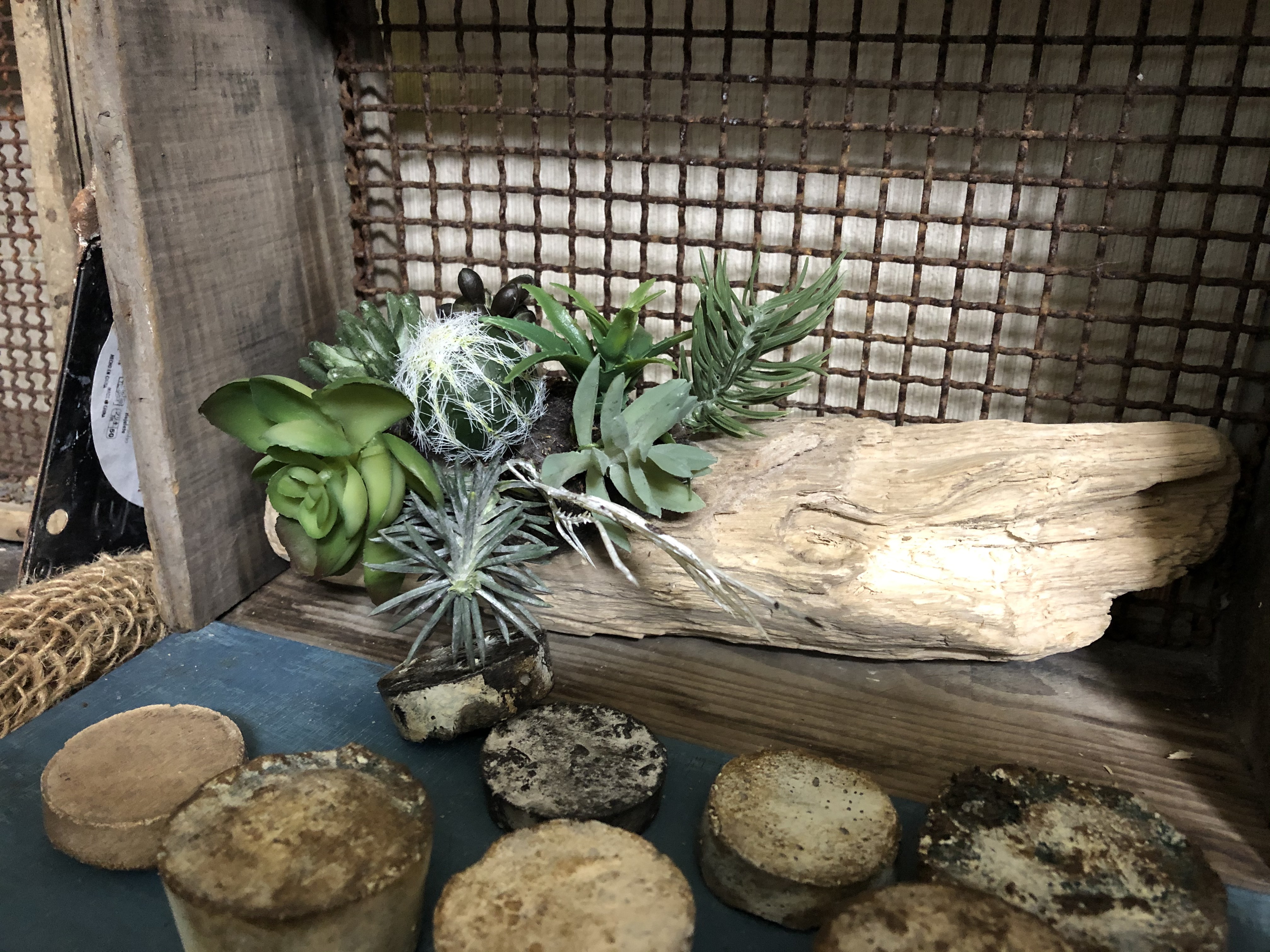 流木オブジェ❤️木工細工 （癒しの流木アレンジメント、多肉植物、水 