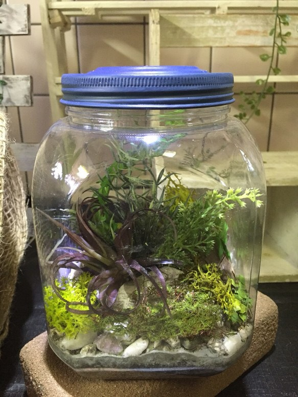 流木、海、海を感じる雑貨、苔、セメント、小石、ガラス、癒し、きれい