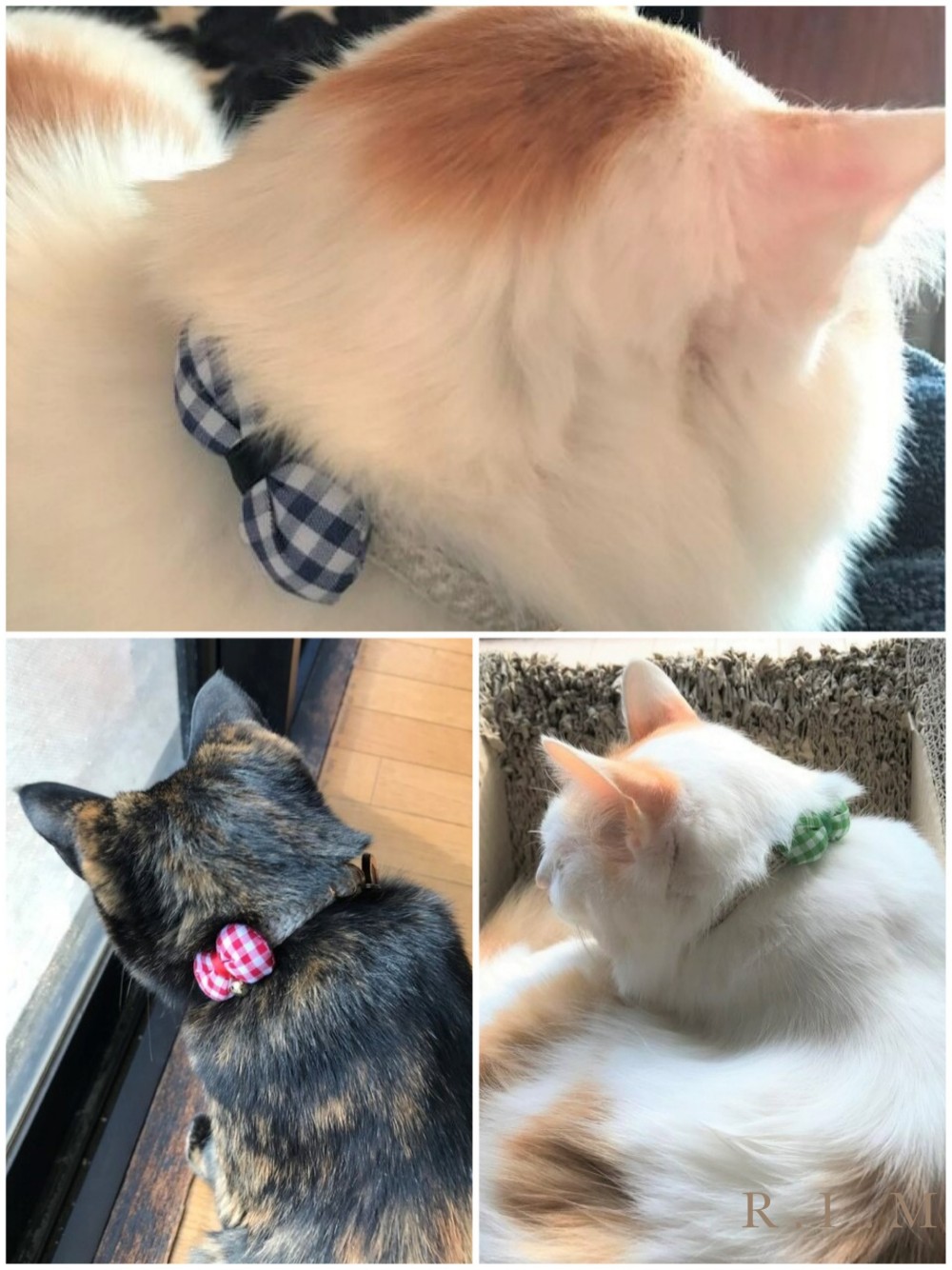 ブルーギンガムチェックわんちゃん猫ちゃん用襟付き首輪