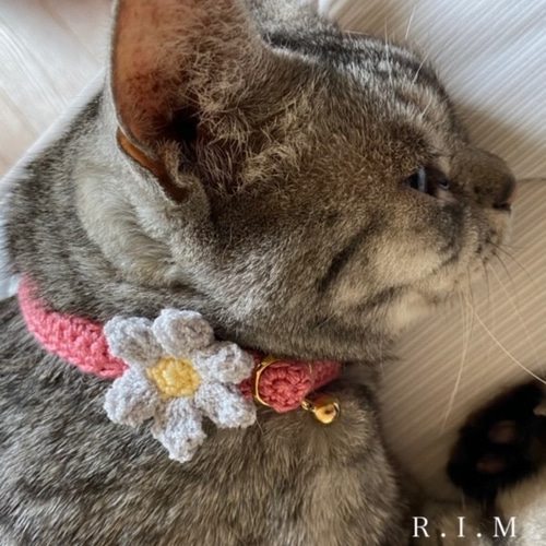 オレンジフラワー、わんちゃん猫ちゃん用襟付き首輪
