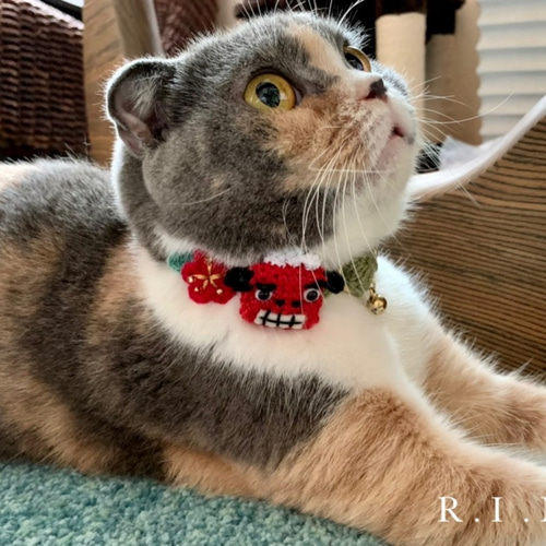 2026 お正月 獅子舞 コットン首輪 ☆小型犬＆猫の首輪☆ リード・首輪