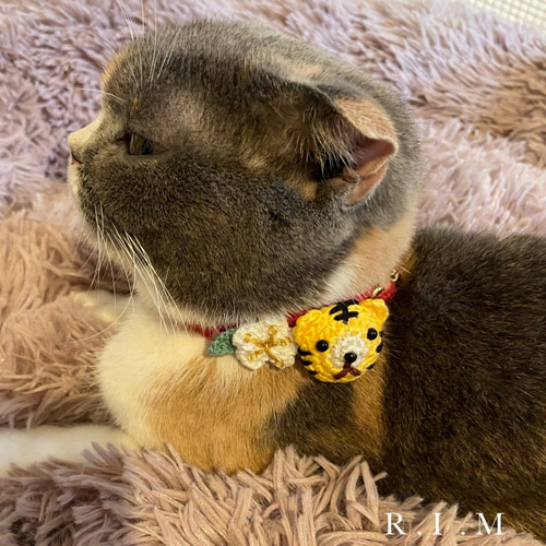 2026 お正月 獅子舞 コットン首輪 ☆小型犬＆猫の首輪☆ リード・首輪