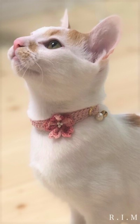 桜の首輪　コットンパール　★小型犬＆猫の首輪★ 2枚目の画像