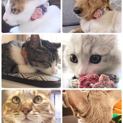 ☆新色追加☆　あじさい　5色　紫陽花　コットン首輪　★小型犬＆猫の首輪★ 5枚目の画像