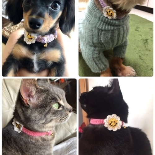 ☺フラワーニコちゃん☺ 3色 コットン首輪 スマイル ☆小型犬