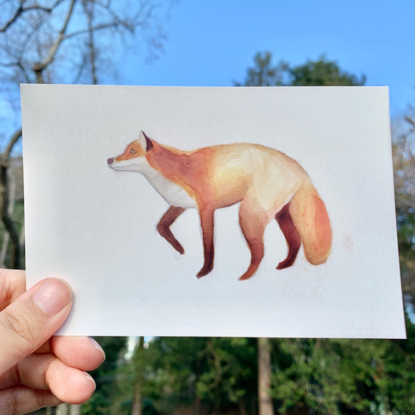 オオカミのポストカードセット（３枚入り） 2枚目の画像