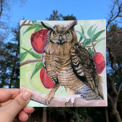 りんごとフクロウのスクエアポストカード（３枚入り） 1枚目の画像