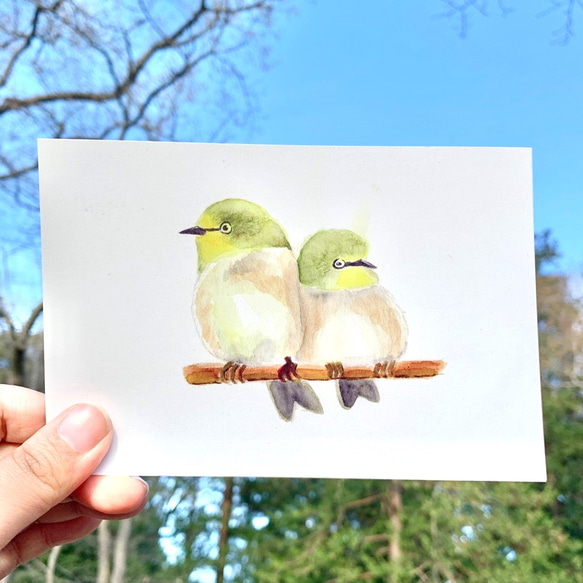 鳥たちのポストカードセット 4枚目の画像