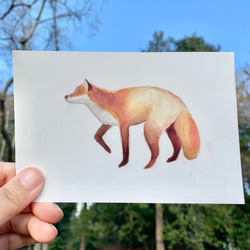 森の動物たちポストカードセット 2枚目の画像