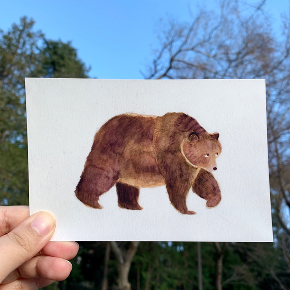 森の動物たちポストカードセット 3枚目の画像