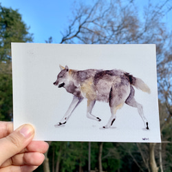 森の動物たちポストカードセット 5枚目の画像