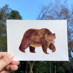 弱気なクマのポストカード（３枚入り） 1枚目の画像