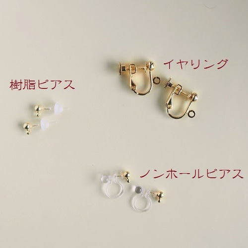 カクレクマノミとナンヨウハギのピアス(イヤリング) ピアス