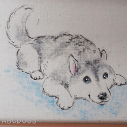 蠟筆劃框西伯利亞雪橇犬 第3張的照片