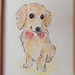 蠟筆劃框臘腸犬 (2) 第2張的照片