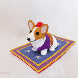 Arawanko Corgi 第1張的照片