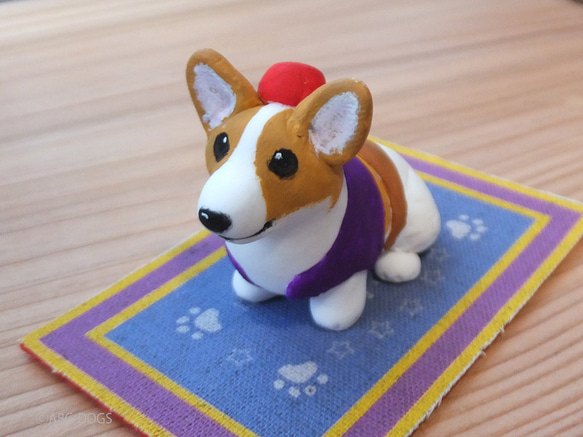 Arawanko Corgi 第2張的照片