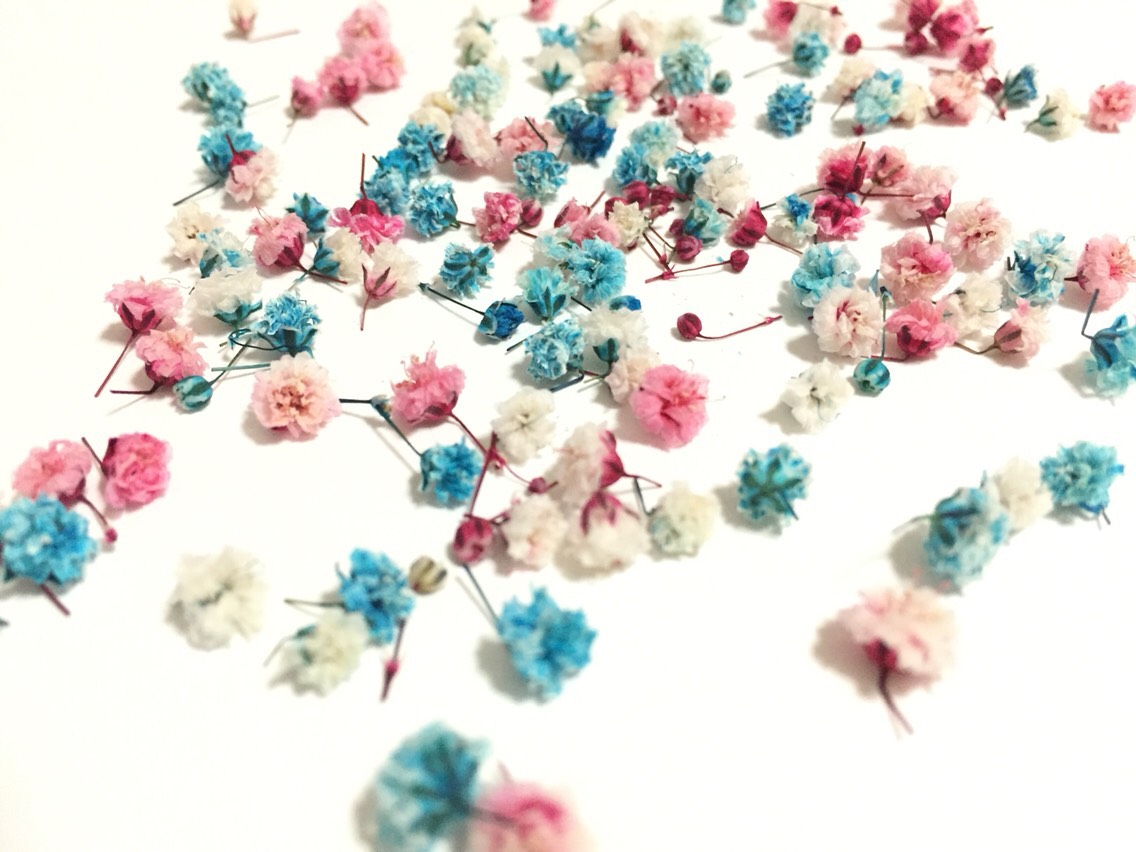 ☆かすみ草＊ドライフラワー＊夢色☆ その他素材 かすみ草@3000円以上