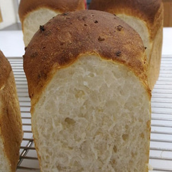玄米食パン（２斤） 1枚目の画像