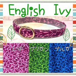 English Ivy＊迷子札付き＊軽い首輪 1枚目の画像