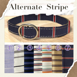 Alternate stripe＊迷子札付き＊軽い首輪 1枚目の画像