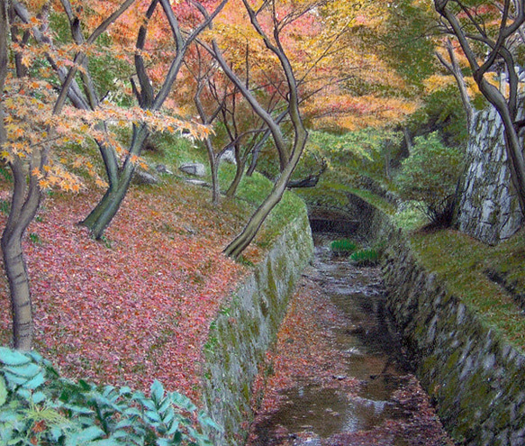 東福寺秋景 1枚目の画像