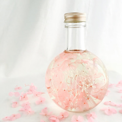 【香る】ハーバリウムランプ〜春めき桜〜 3枚目の画像