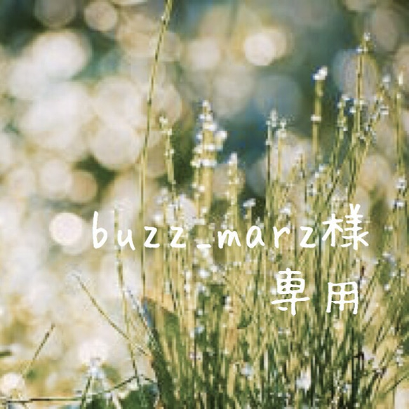 buzz_marz様専用 1枚目の画像