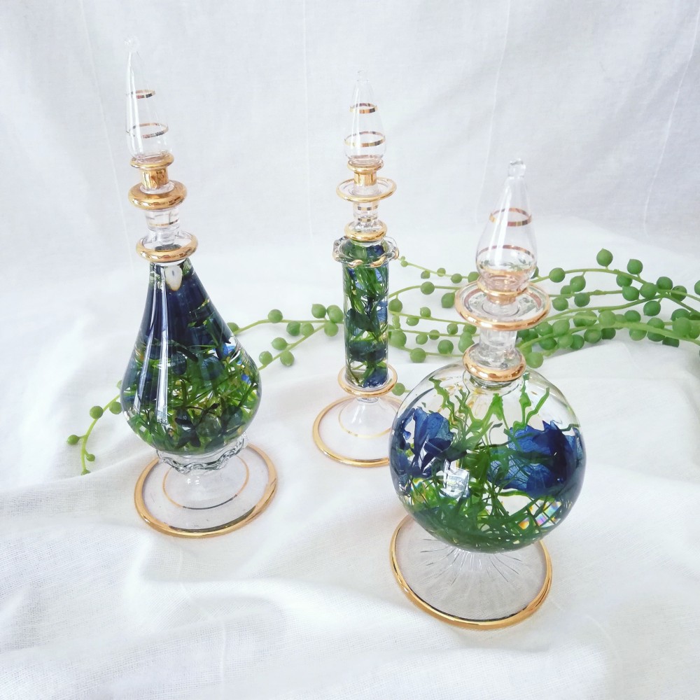 ブリティッシュグリーンのエキゾチックハーバリウム～3set～