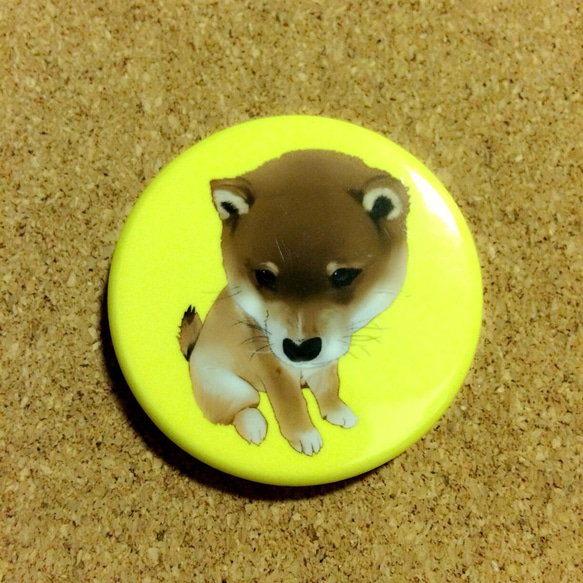 缶バッジ 44mm 柴犬 1枚目の画像