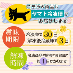 白砂糖不使用チーズケーキお試し4種セット（6個入）【母の日】【手土産】【誕生日】 8枚目の画像