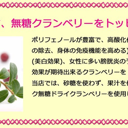 【クリスマス】【冬ギフト】【手土産】【誕生日】ビューティーべリーのレアチーズケーキ（6個入） 6枚目の画像